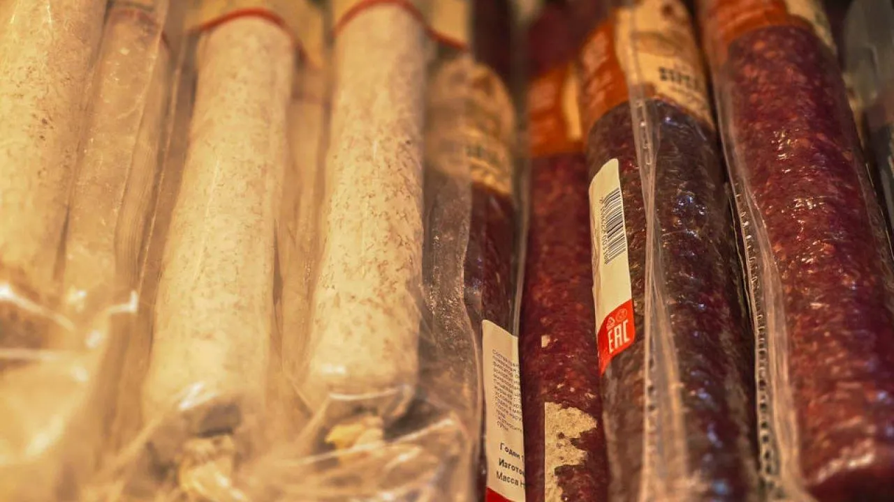 REGIONS/Елена Болотова