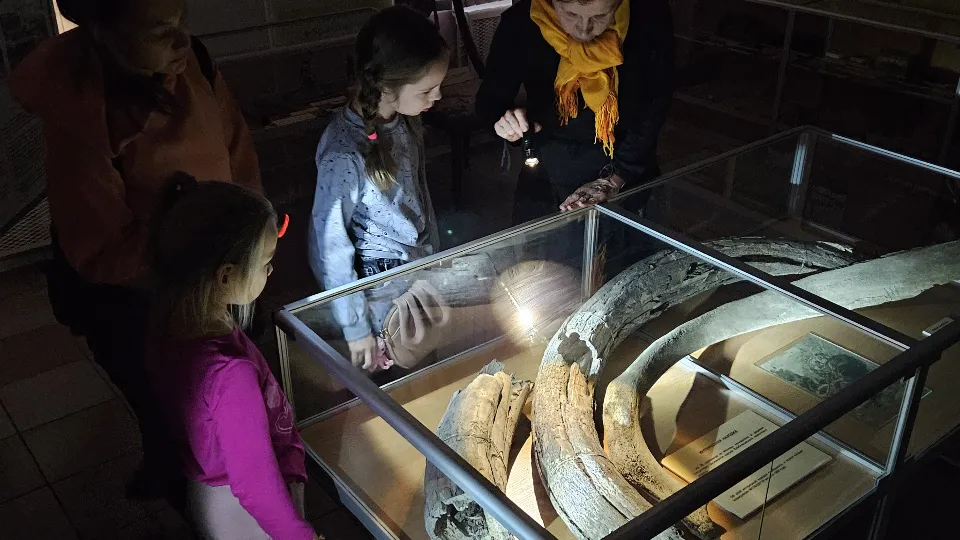 Фото: МедиаБанк Подмосковья/Вероника Горбачева