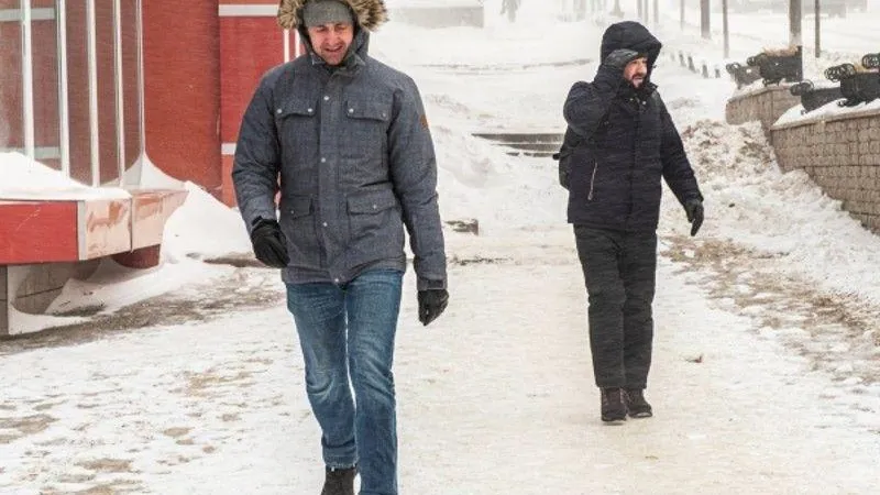 «Желтый» уровень погодной опасности объявили в Подмосковье в связи с сильным ветром