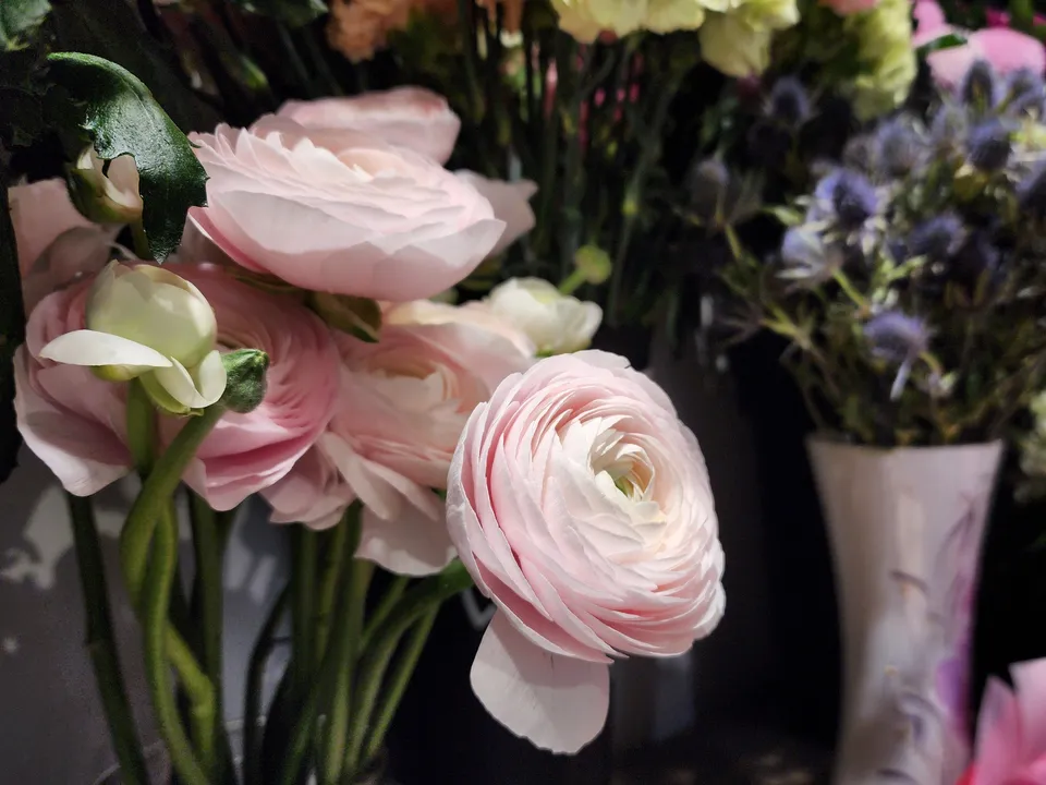 Фото: МедиаБанк Подмосковья/Валерия Тингаева