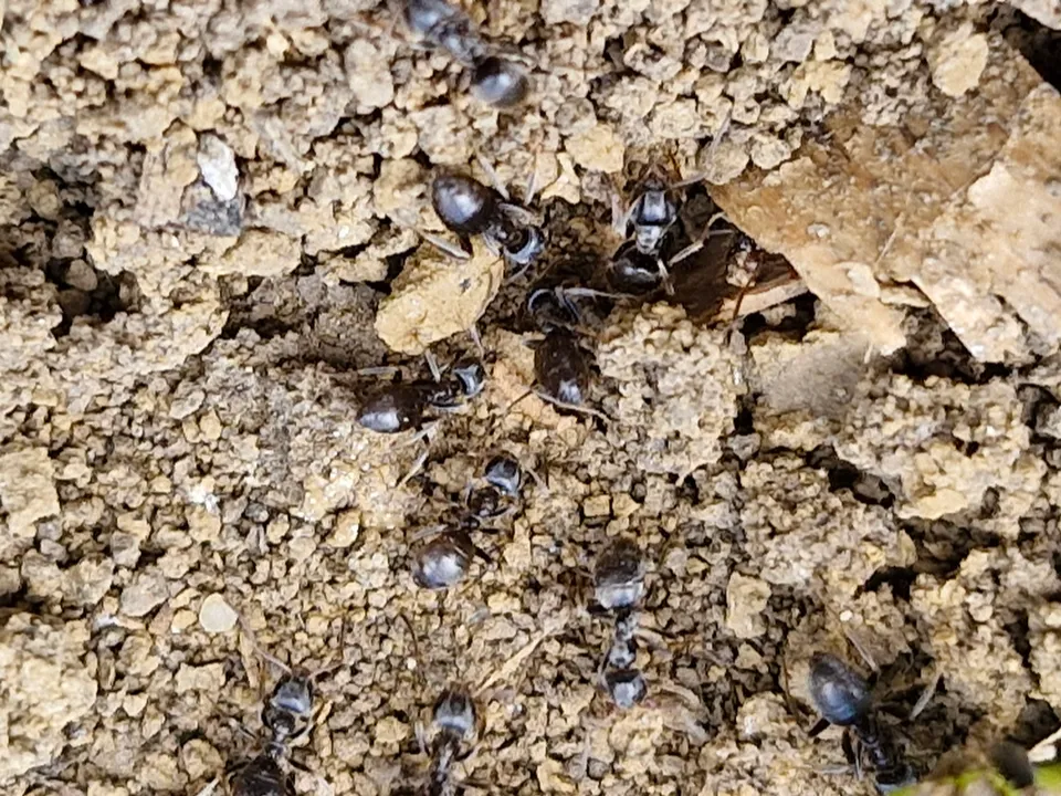 Фото: REGIONS/Наталия Надточая