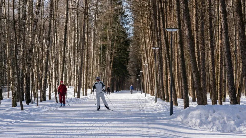 Фото: медиасток.рф