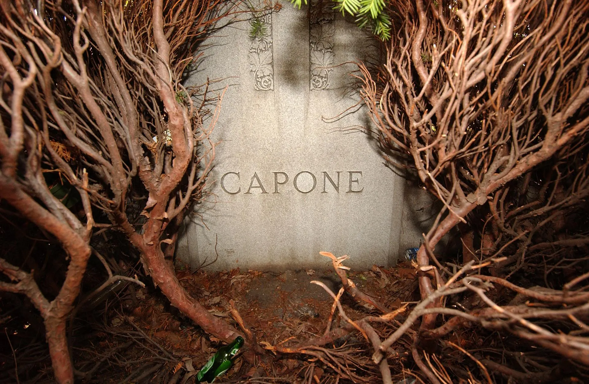 Jason Nelson/Admedia