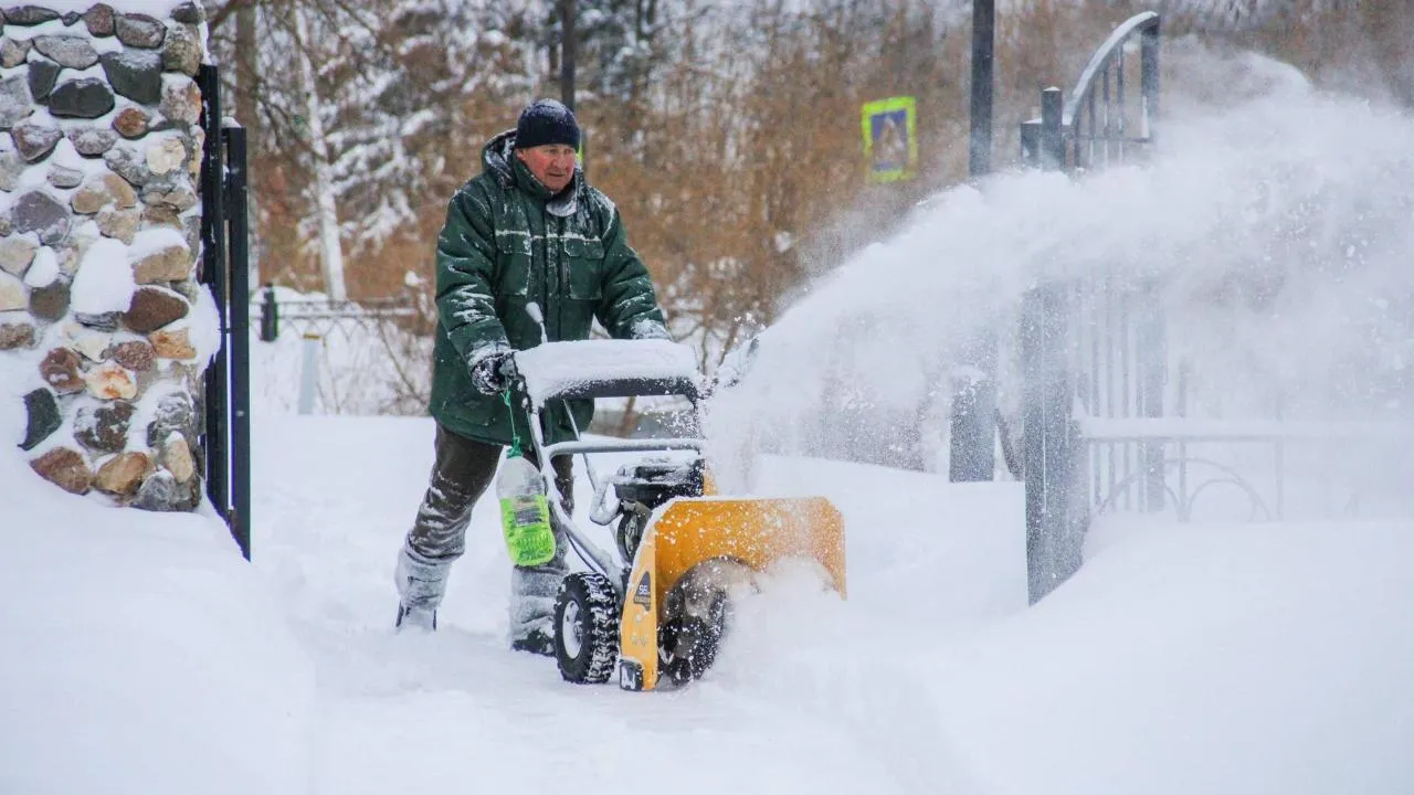 С начала недели в парках и лесопарках Подмосковья убрали более 800 тыс. кубометров снега