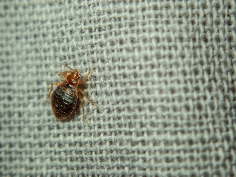 Фото: istockphoto.com