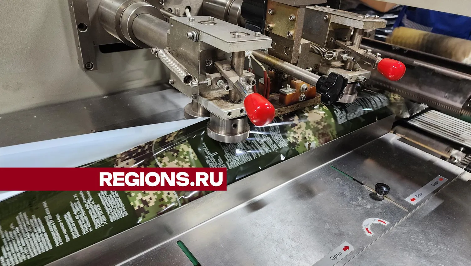 Фото: Екатерина Мелкозерова