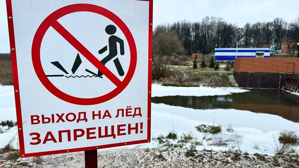 Фото: МедиаБанк Подмосковья/Лилия Закирова