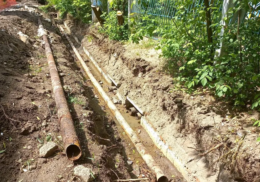 Фото: Олег Книжник