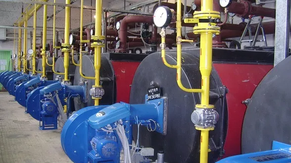 Фото: пресс-служба администрации г. о. Серпухов