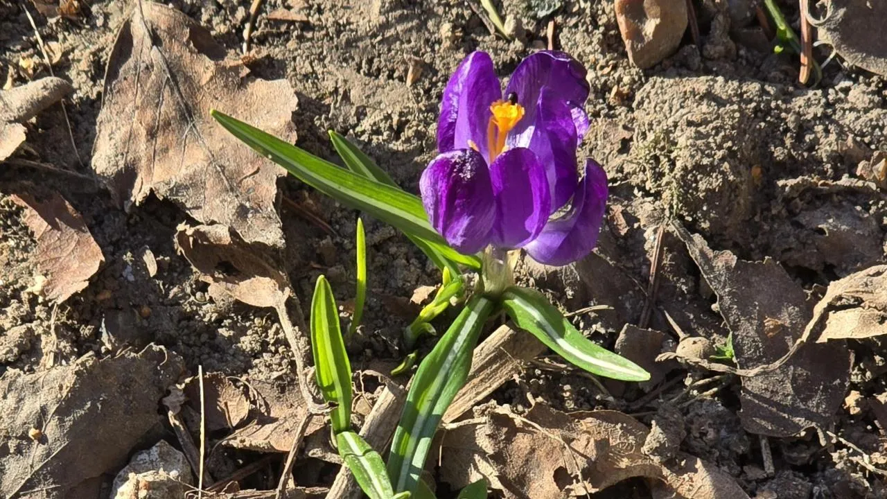 МедиаБанк Подмосковья/Марина Анисимова