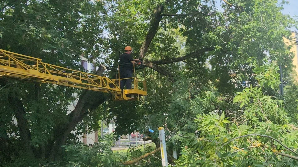 Фото: МедиаБанк Подмосковья/Ольга Шеметова