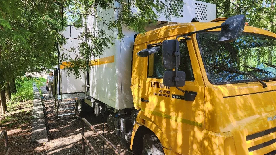 Фото: Елена Шумакова