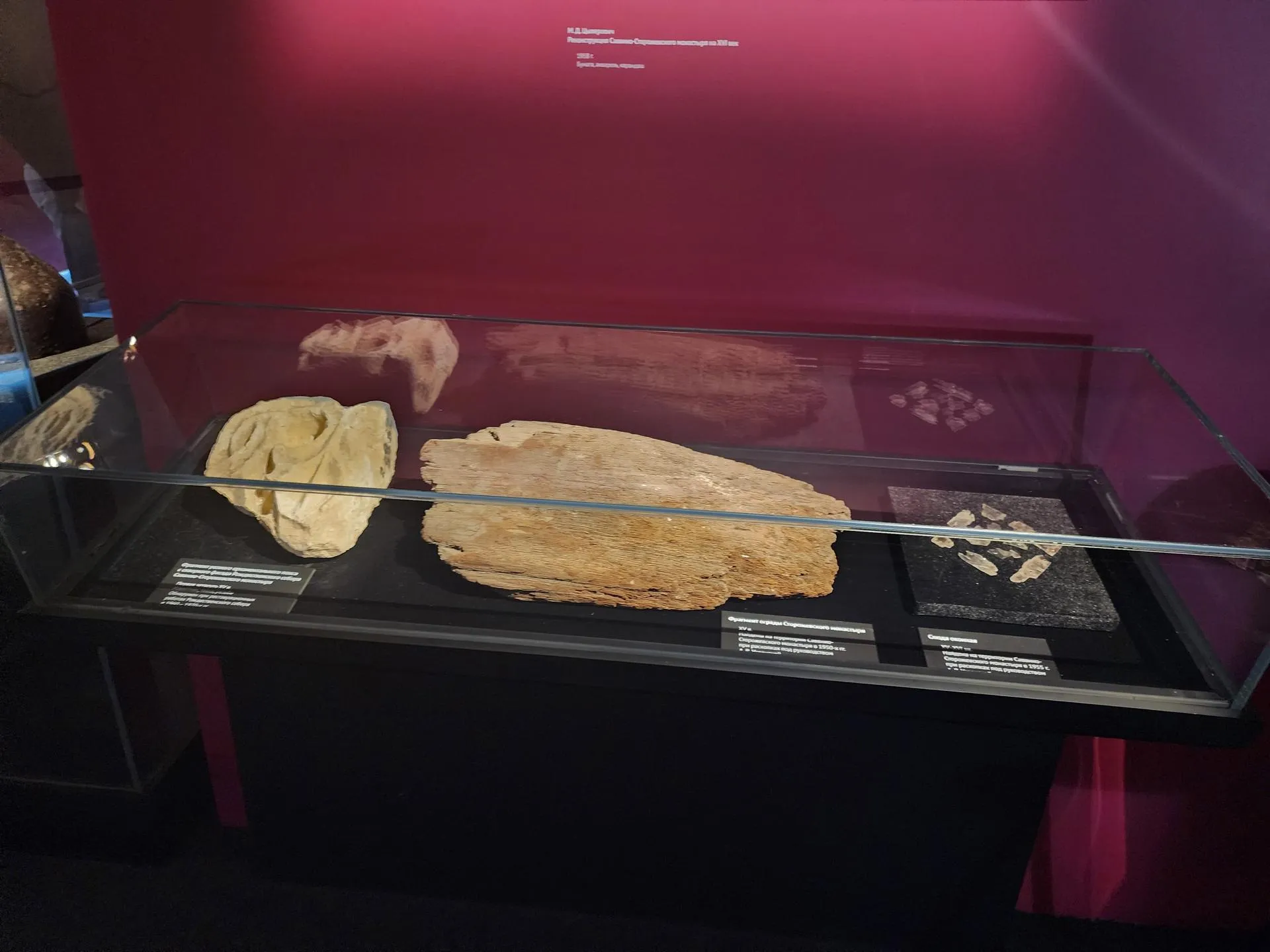 Фото: Хавива Фонина