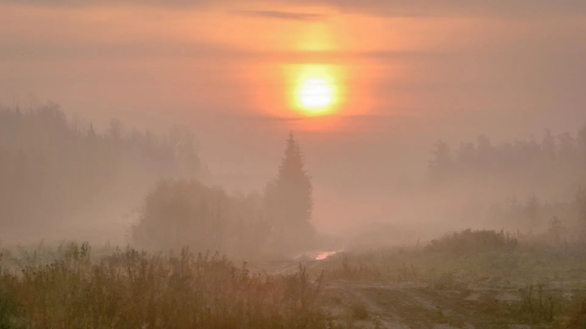 Sergey Metelitsa/Global Look Press