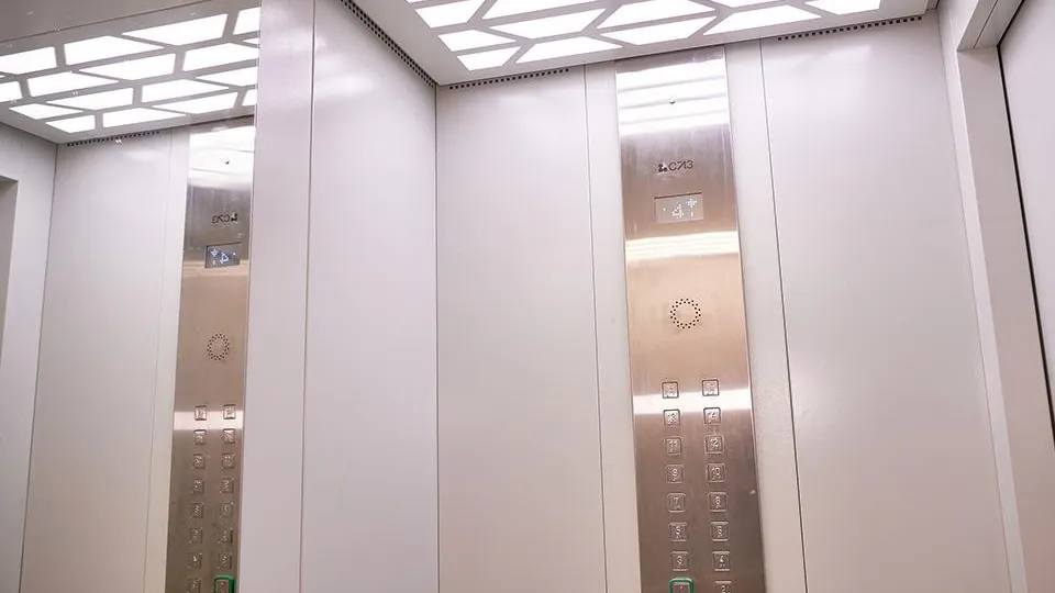 Фото: пресс-служба губернатора и правительства Московской области