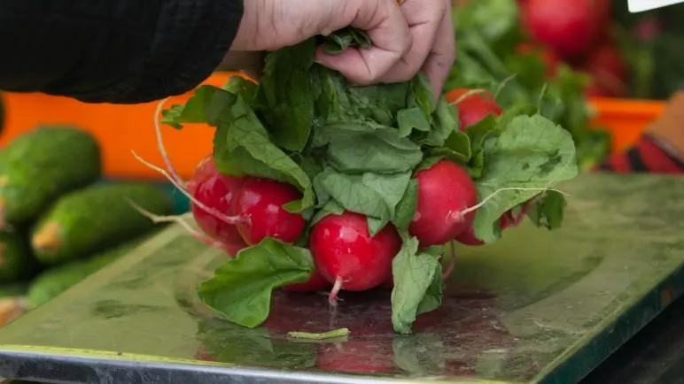 медиасток.рф