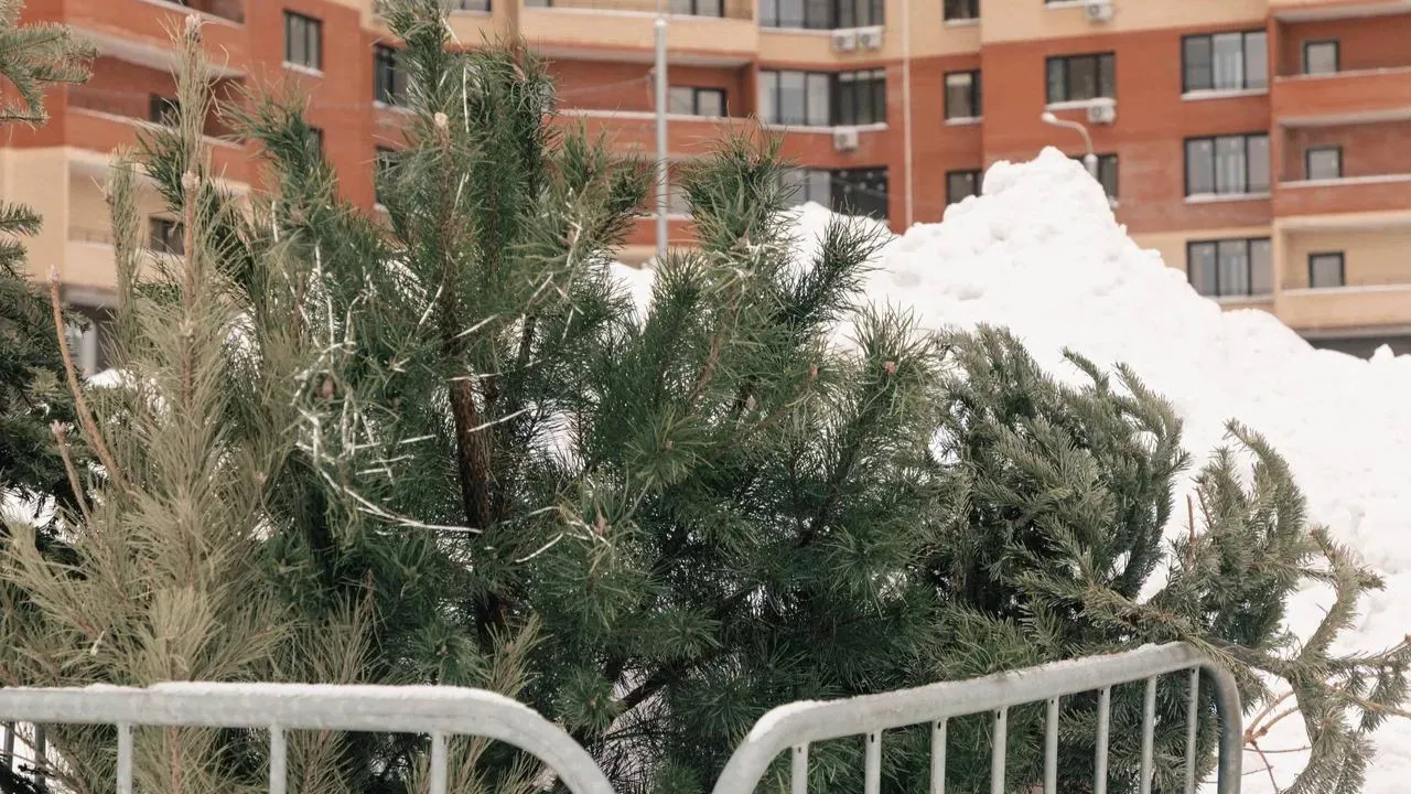 пресс-служба администрации г.о. Домодедово