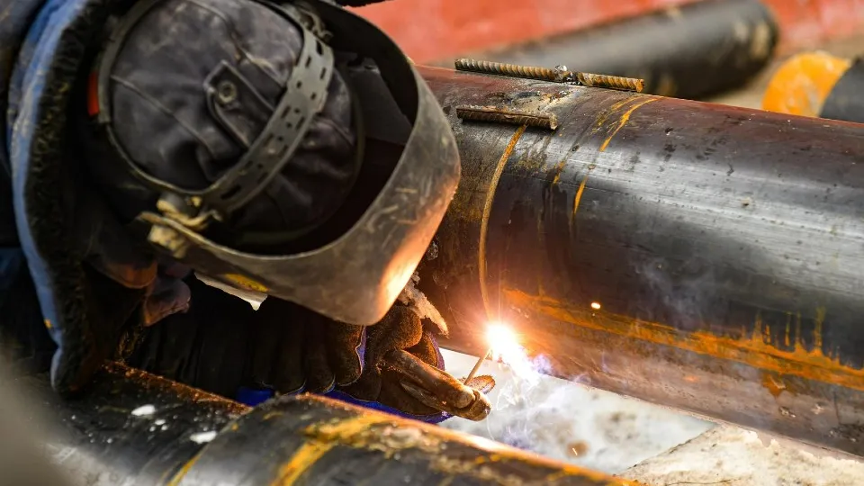 Фото: пресс-служба администрации г.о. Химки