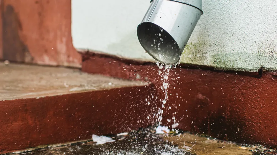 Фото: istockphoto.com