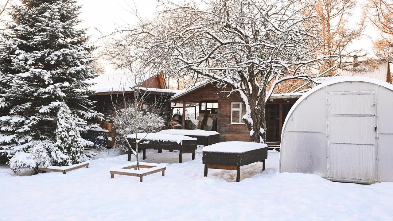 istockphoto.com/elenaleonova