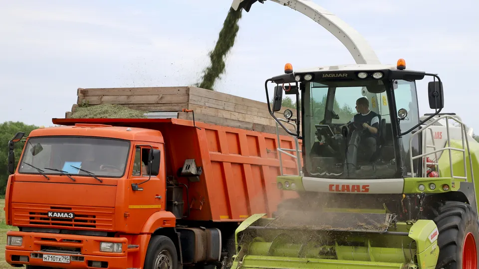 Фото: пресс-служба администрации м.о. Луховицы