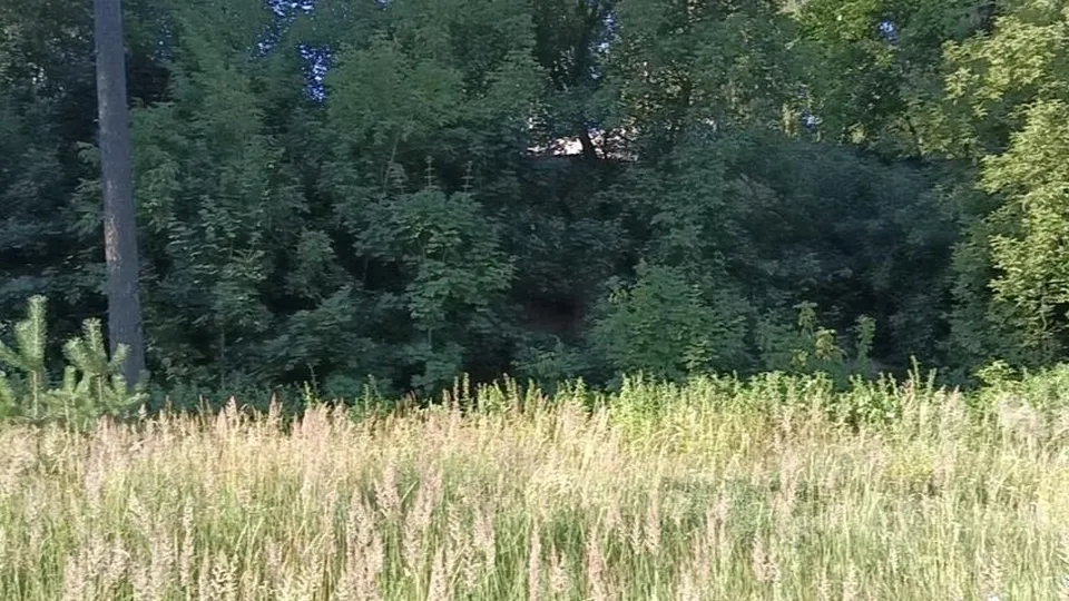 Фото: Министерство имущественных отношений Московской области