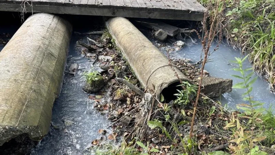 Фото: Министерство экологии и природопользования Московской области