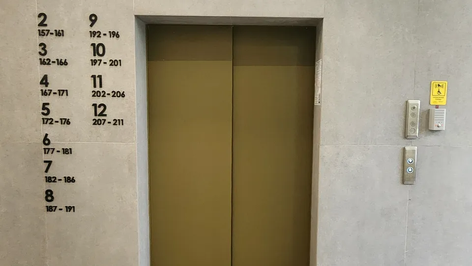 Фото: Максим Сафронов