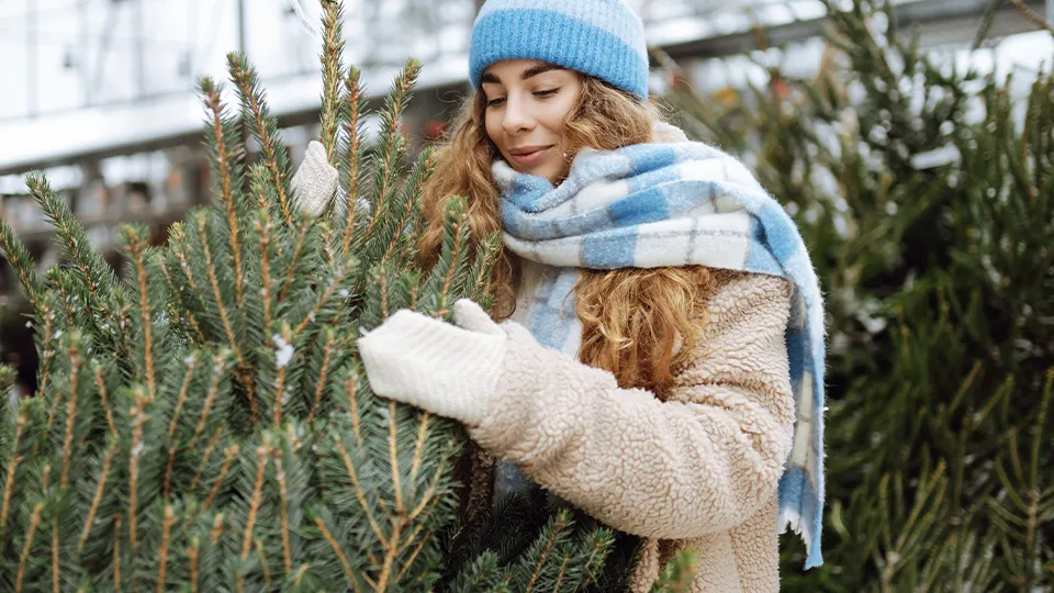 Фото: istockphoto.com/Maksym Belchenko