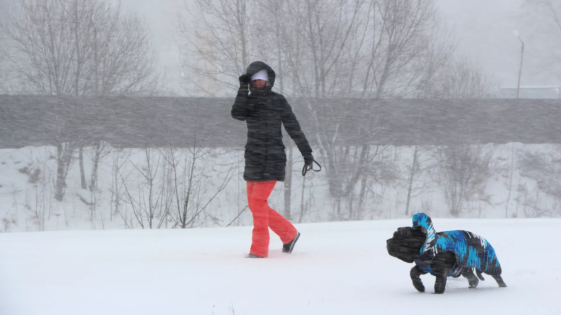 медиасток.рф