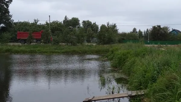 Ежедневные новости. Подмосковье © Елена Фоминская