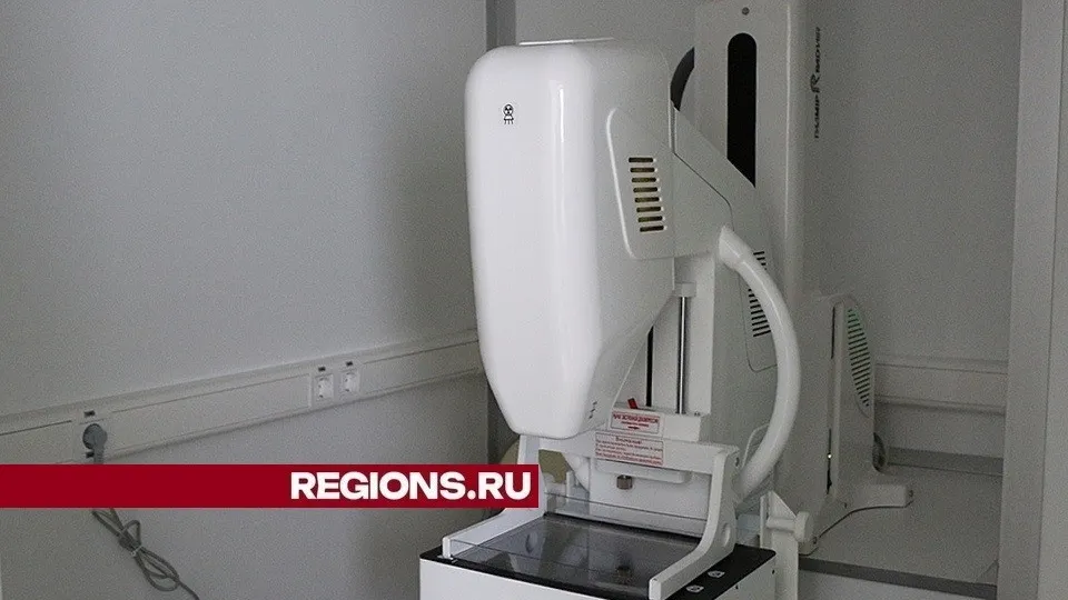 Фото: Александр Дрожжин