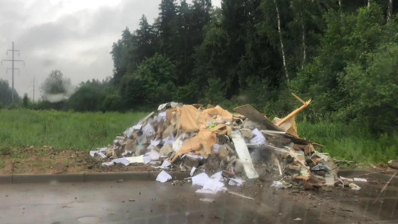 В Красногорске зафиксировано более 30 случаев несанкционированного сброса мусора с начала года