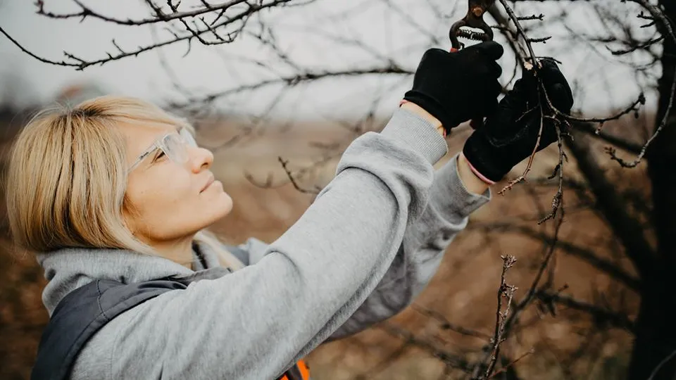 Фото: istockphoto.com/matrixnis