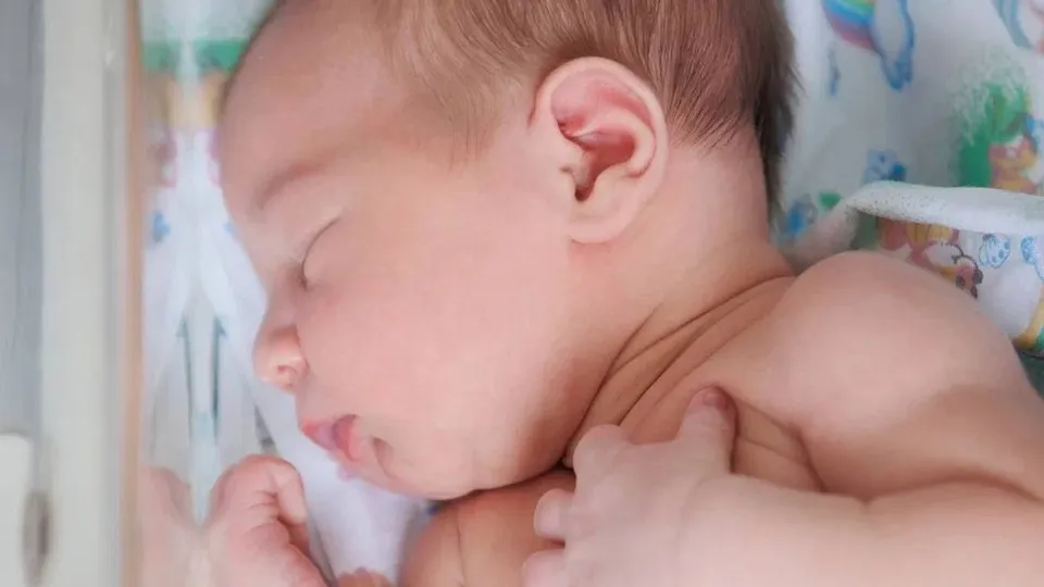 Фото: МОЦОМД