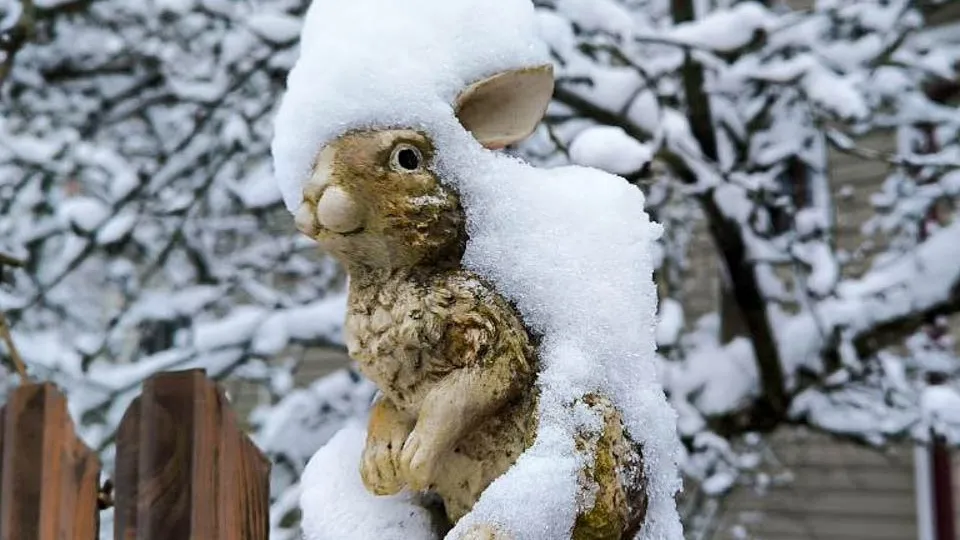 Фото: REGIONS/Роман Малышенко