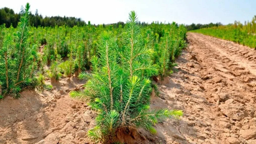 администрация г.о. Зарайск