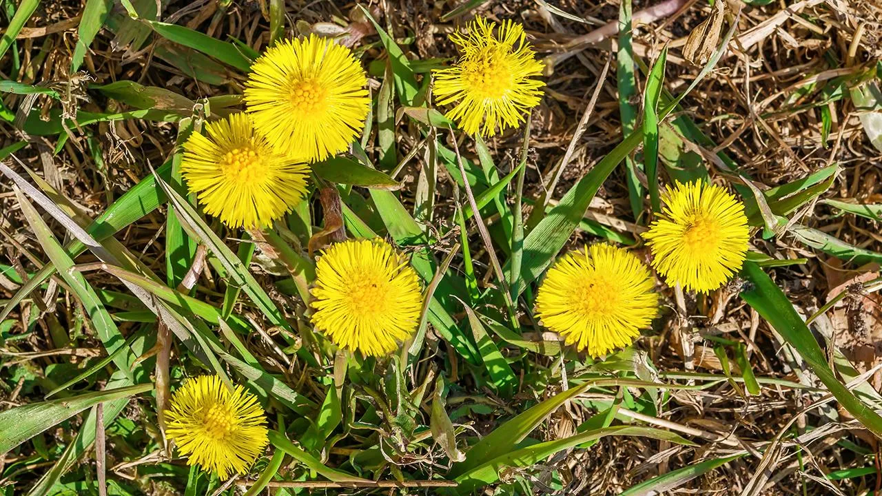 istockphoto.com/Lyubov Demus