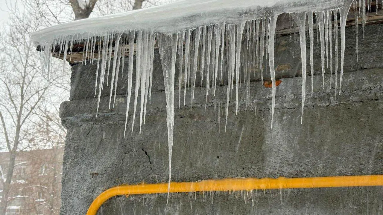 REGIONS/Полина Крачун