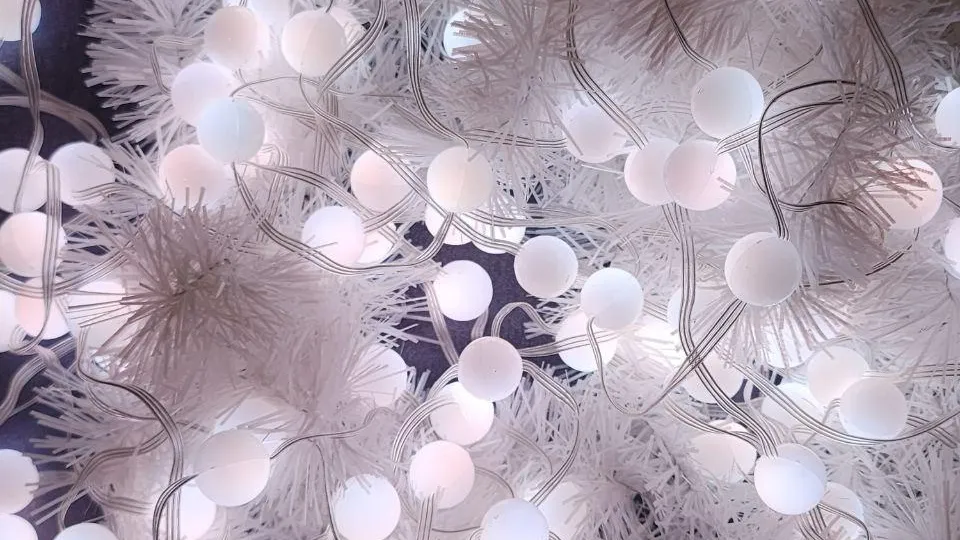 Мария Амелина