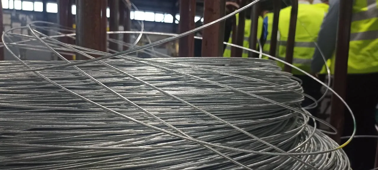 Фото: «Движение Первых» г. о. Зарайск