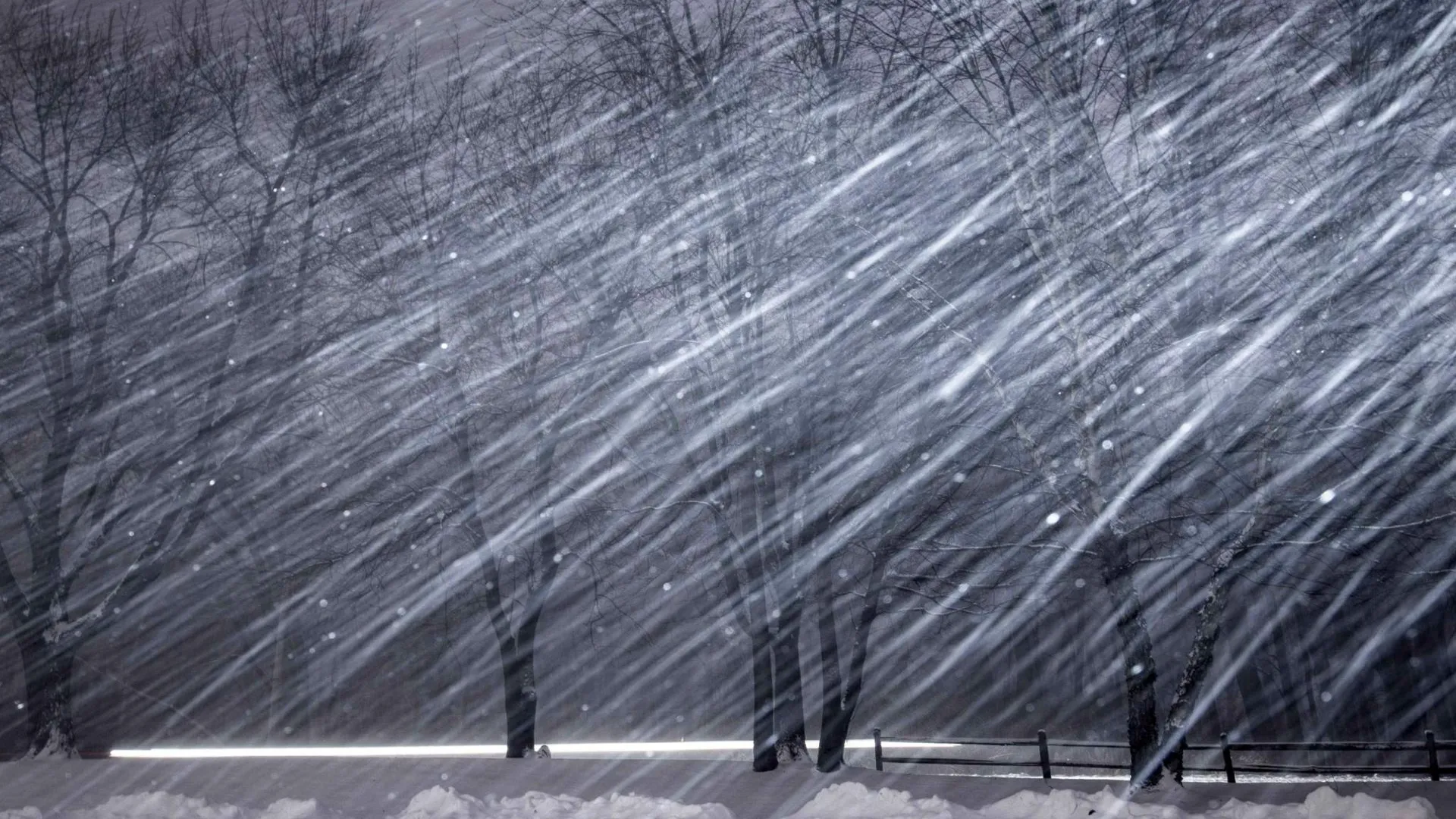 МедиаБанк Подмосковья