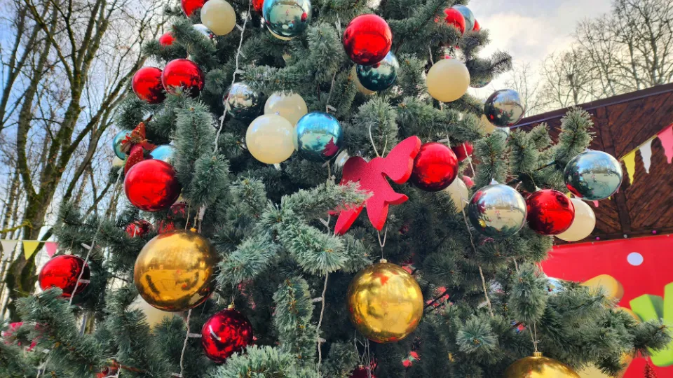 Фото: МедиаБанк Подмосковья/Юлия Унрау