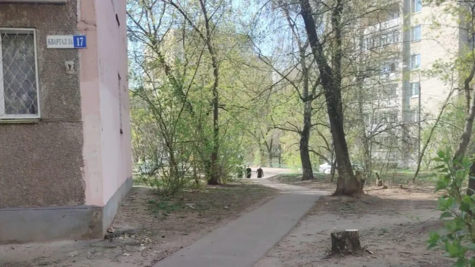 Фото: пресс-служба администрации г.о. Лыткарино