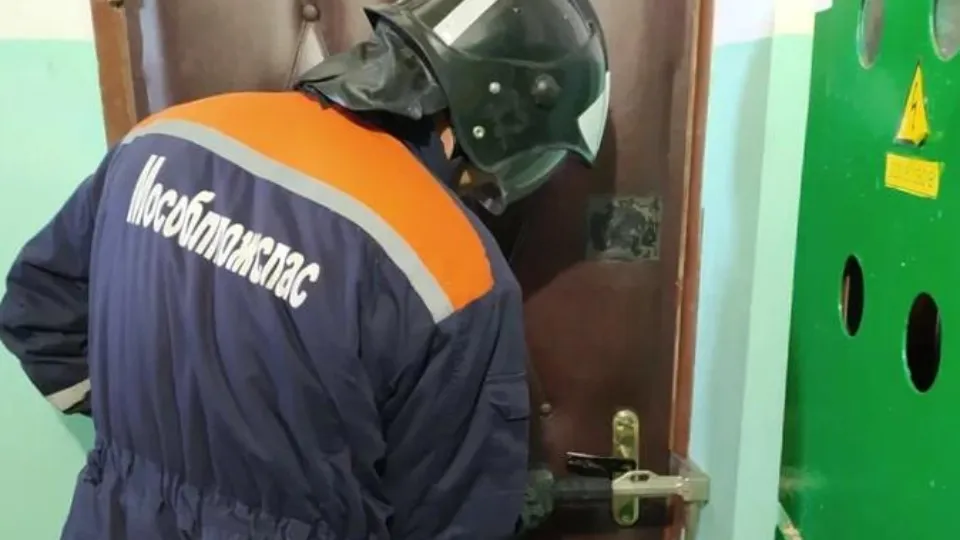 Фото: ГКУ МО «Мособлпожспас»