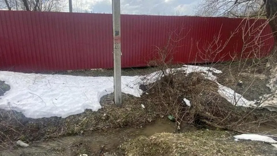 Фото: Министерство экологии и природопользования Московской области