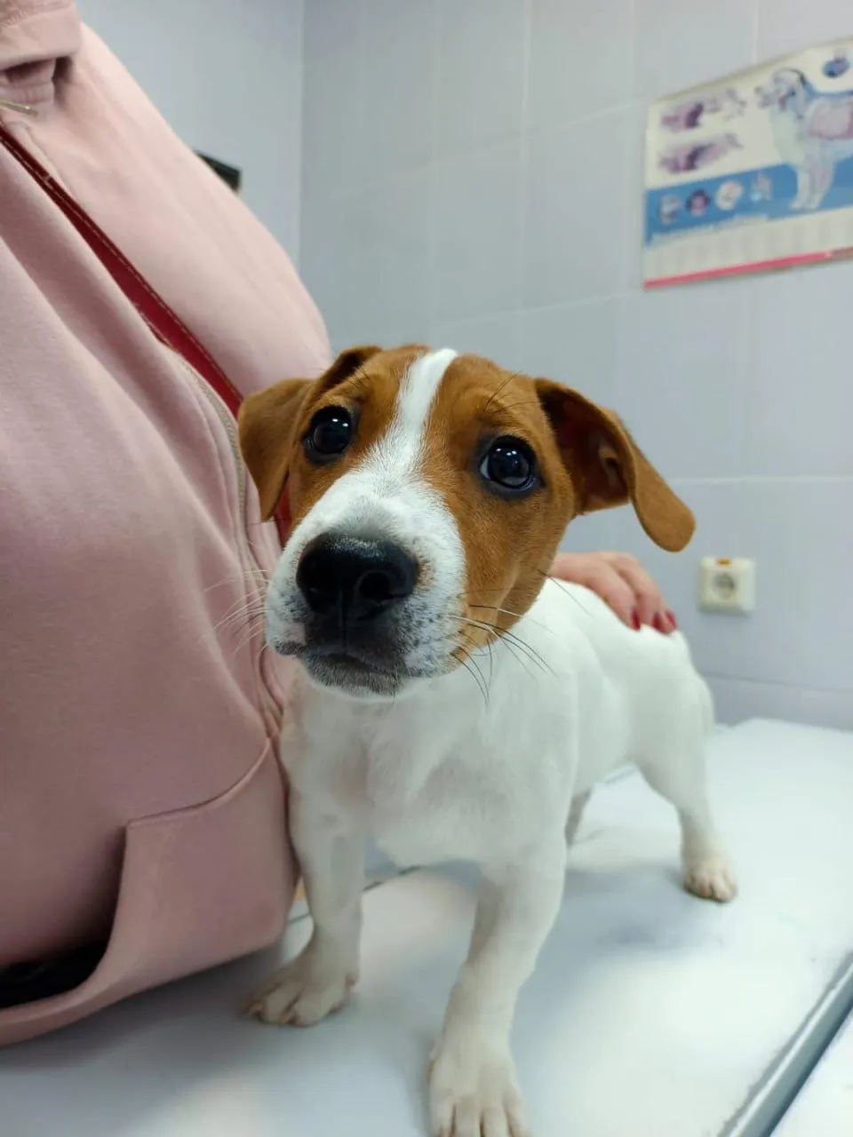 Фото: Министерство сельского хозяйства и продовольствия Московской области