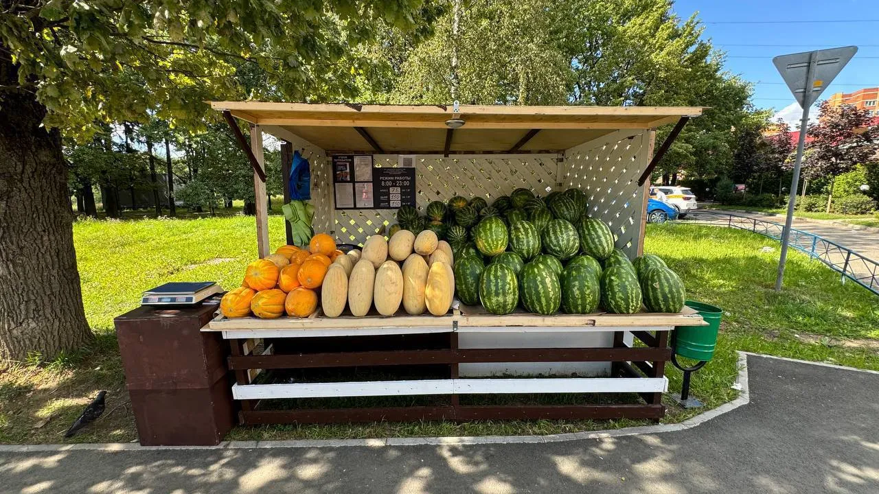 Фото: пресс-служба Министерства сельского хозяйства и продовольствия Московской области