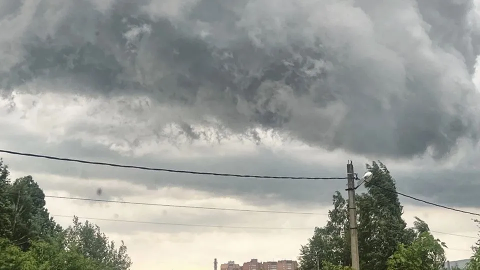 Фото: vk.com/Оля Метальникова (Шитова)