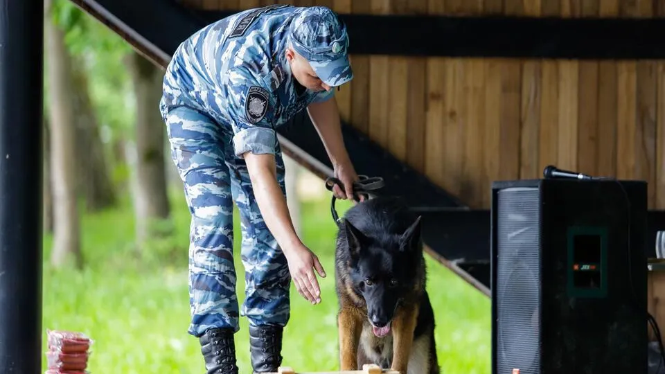 Фото: пресс-служба администрации г.о. Кашира